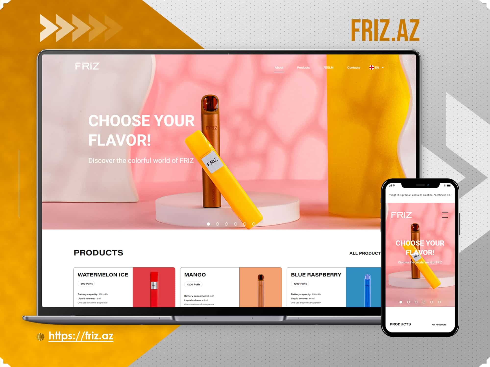 Corporate website - Friz.az