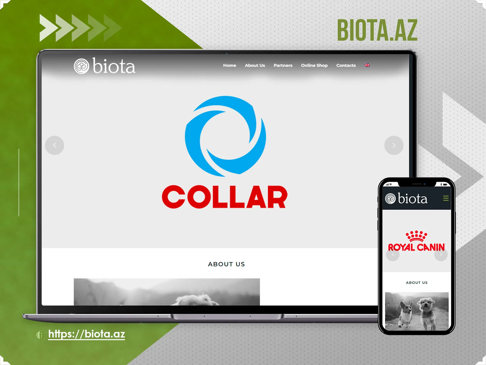 E-Store for Biota.az