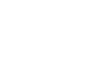 Corporate website - Savalan.az