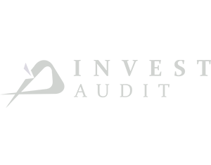 Investaudit.az üçün Korporativ sayt