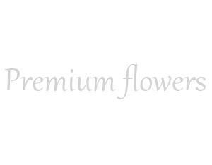 E-Store for  Peony.az