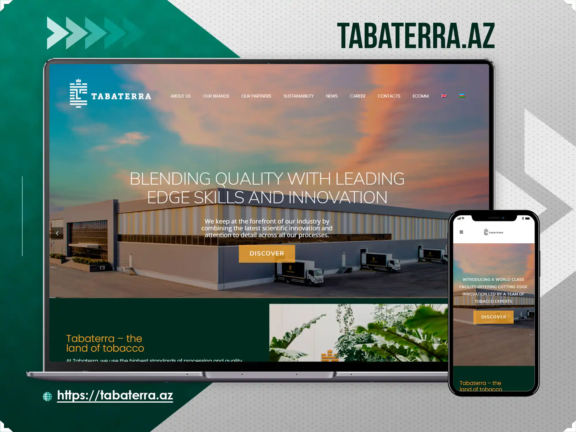 Corporate website - Tabaterra.az